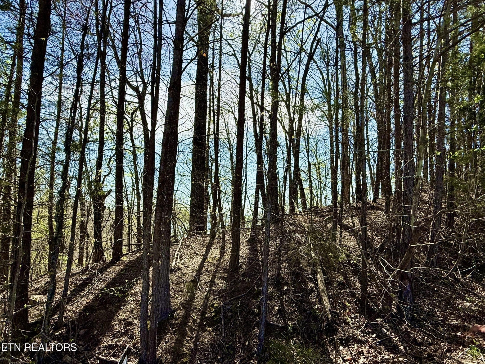 39 Eerie Point