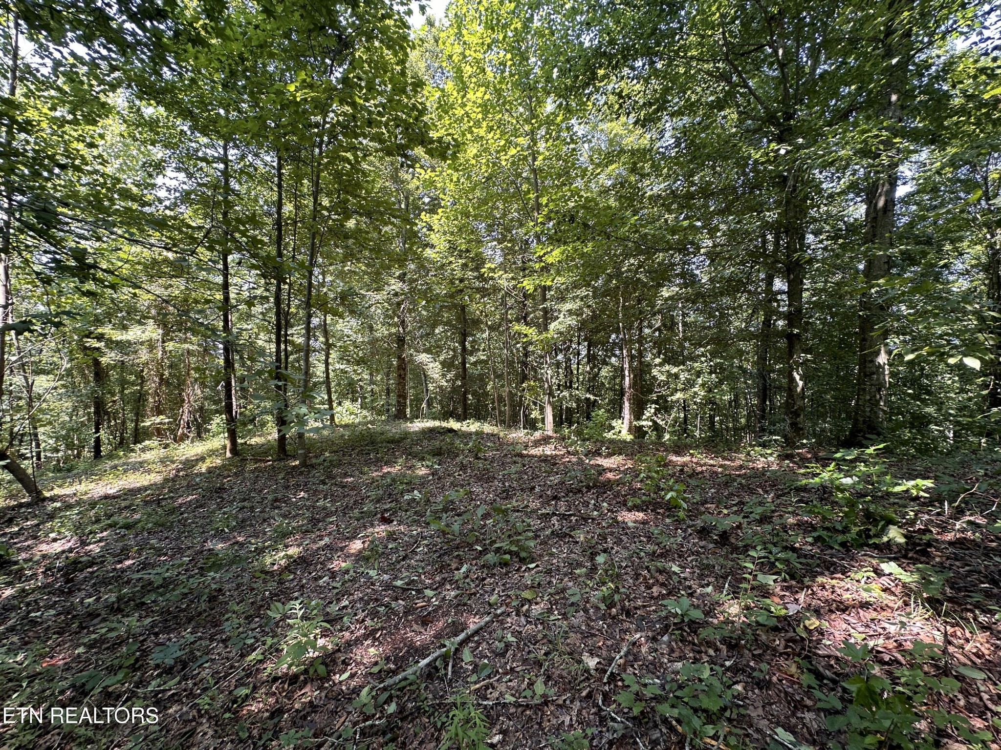 1255 Winningham Rd