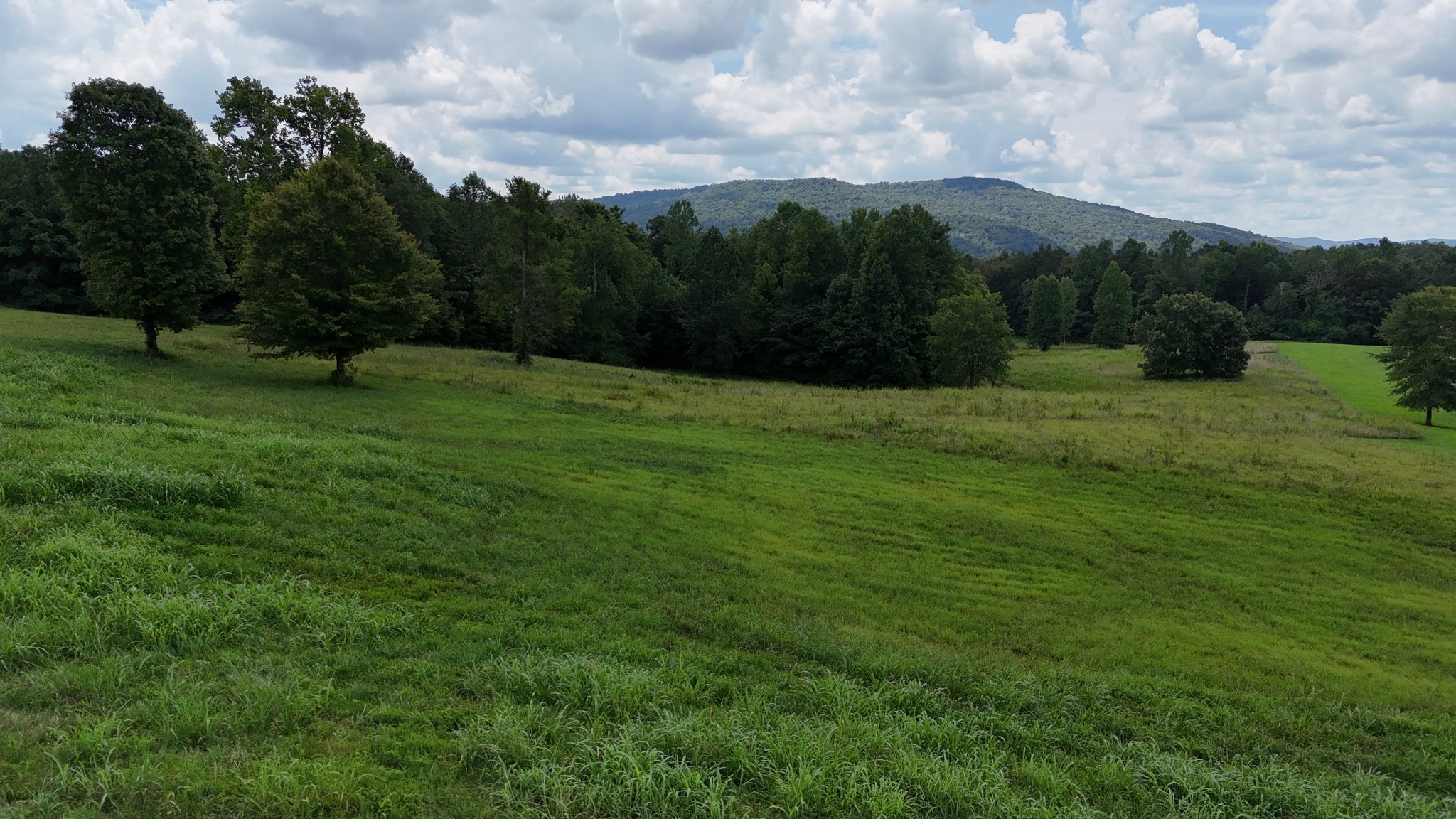 0 Collins Run