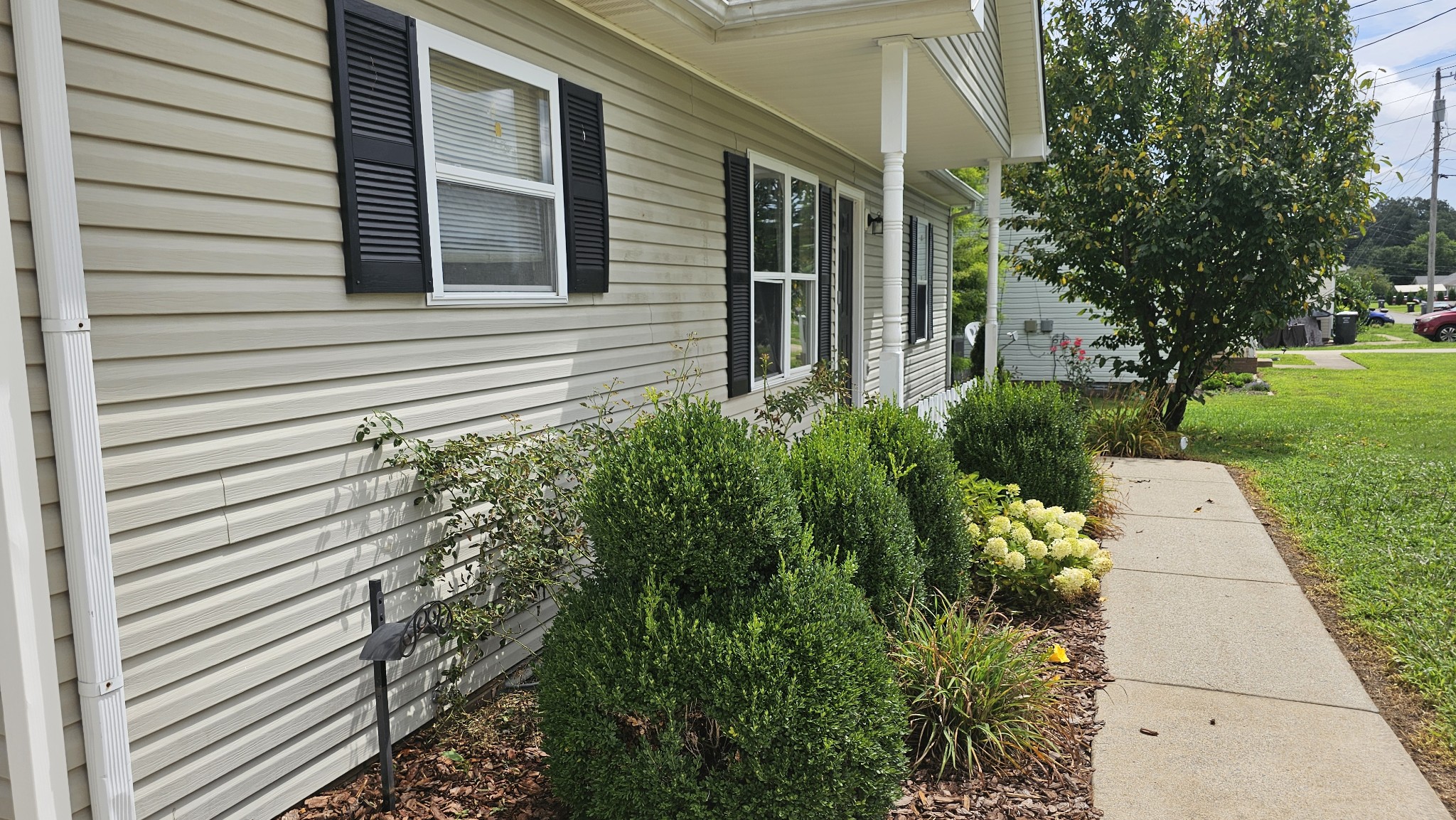 1949 Timberline Cir