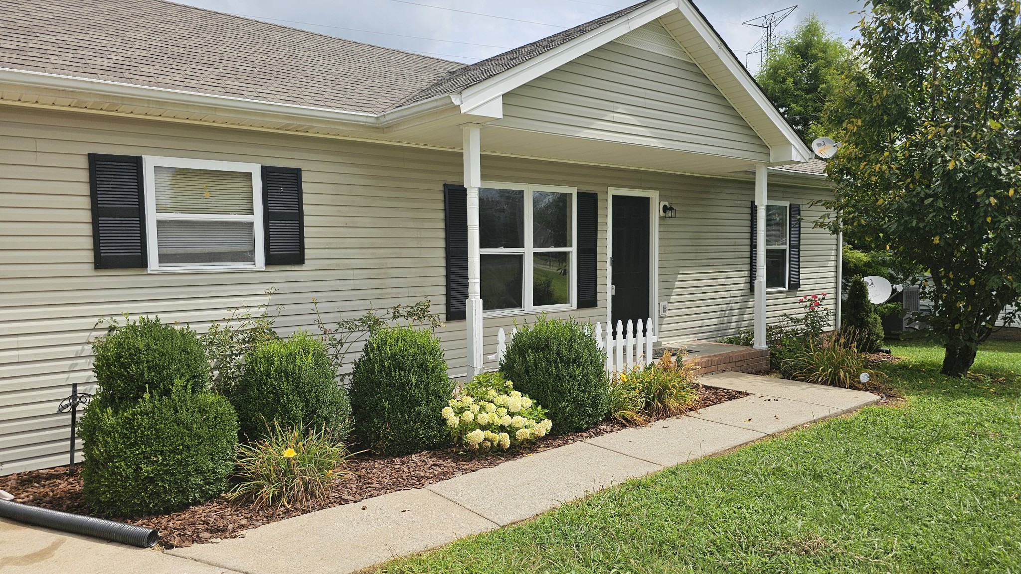 1949 Timberline Cir