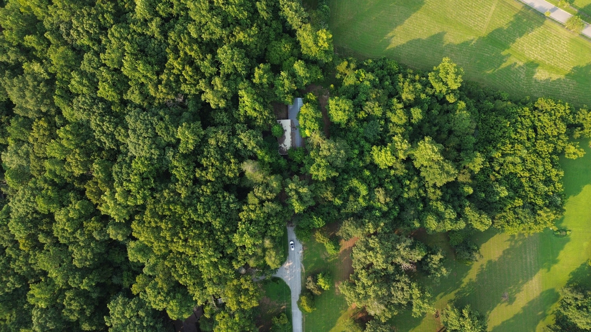276 Oak Road