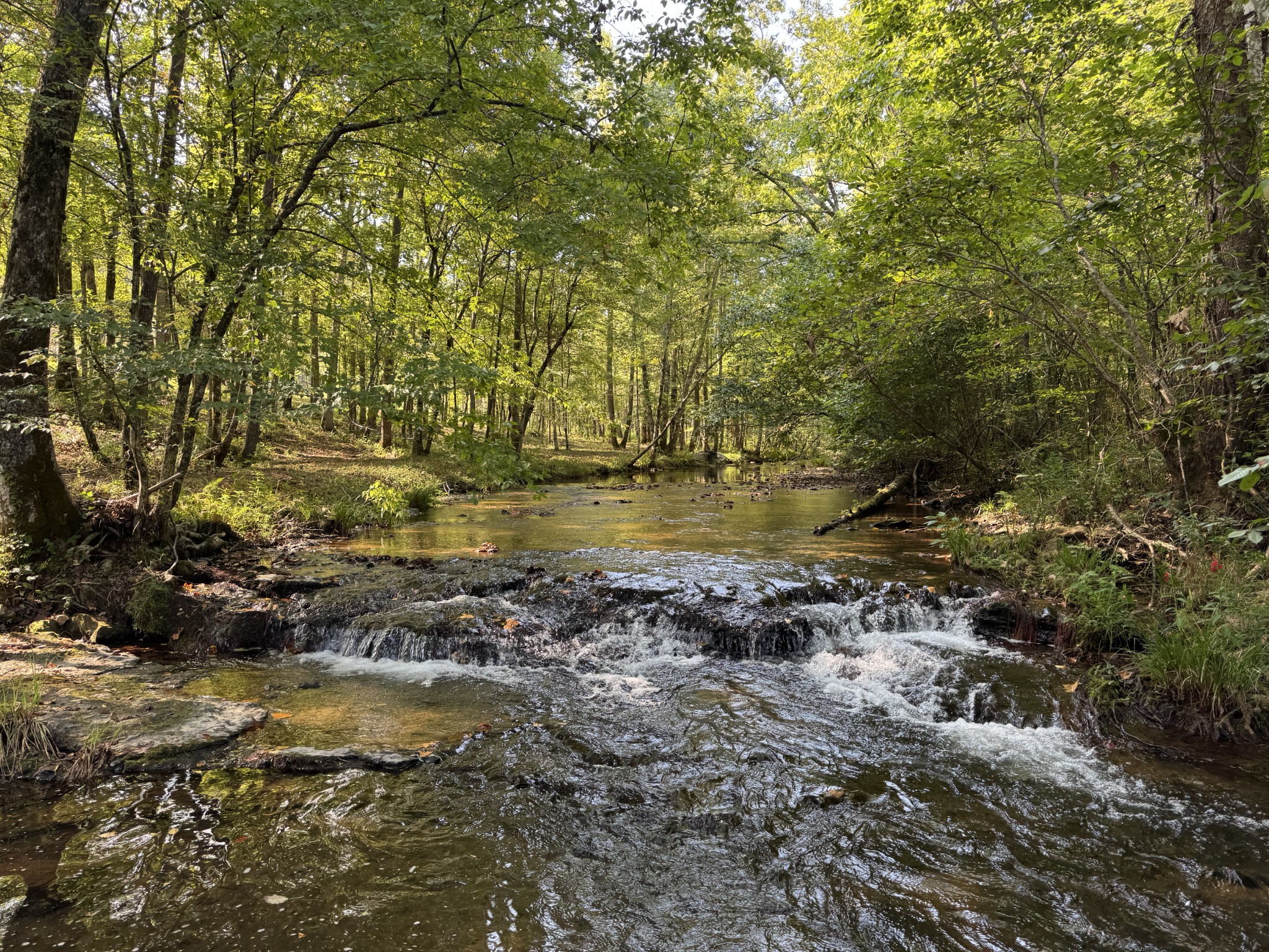 4715 S Forty Eight Creek