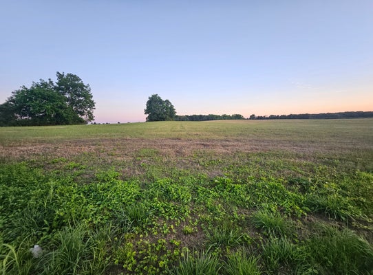 0 BLANTON SCHOOL RD, WOODBURY, TN 37190 - Image fdff20f0c0e6de25973da637ecd23bbd/3543663397