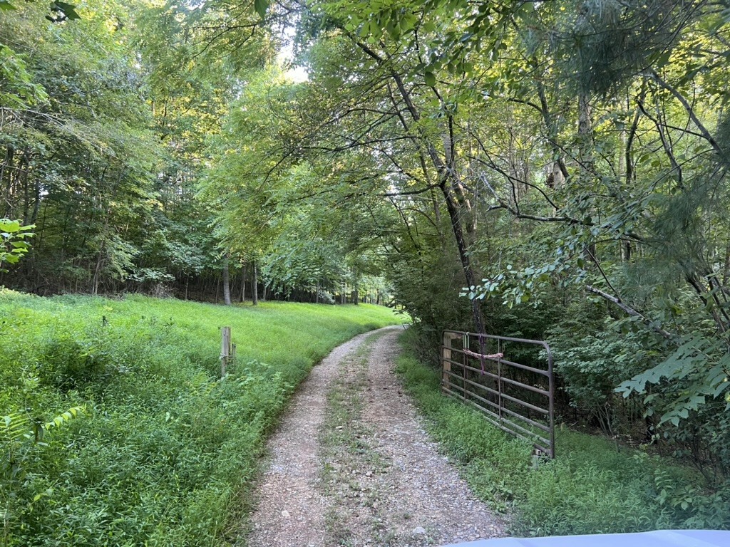 198 Brandy Hollow Ln