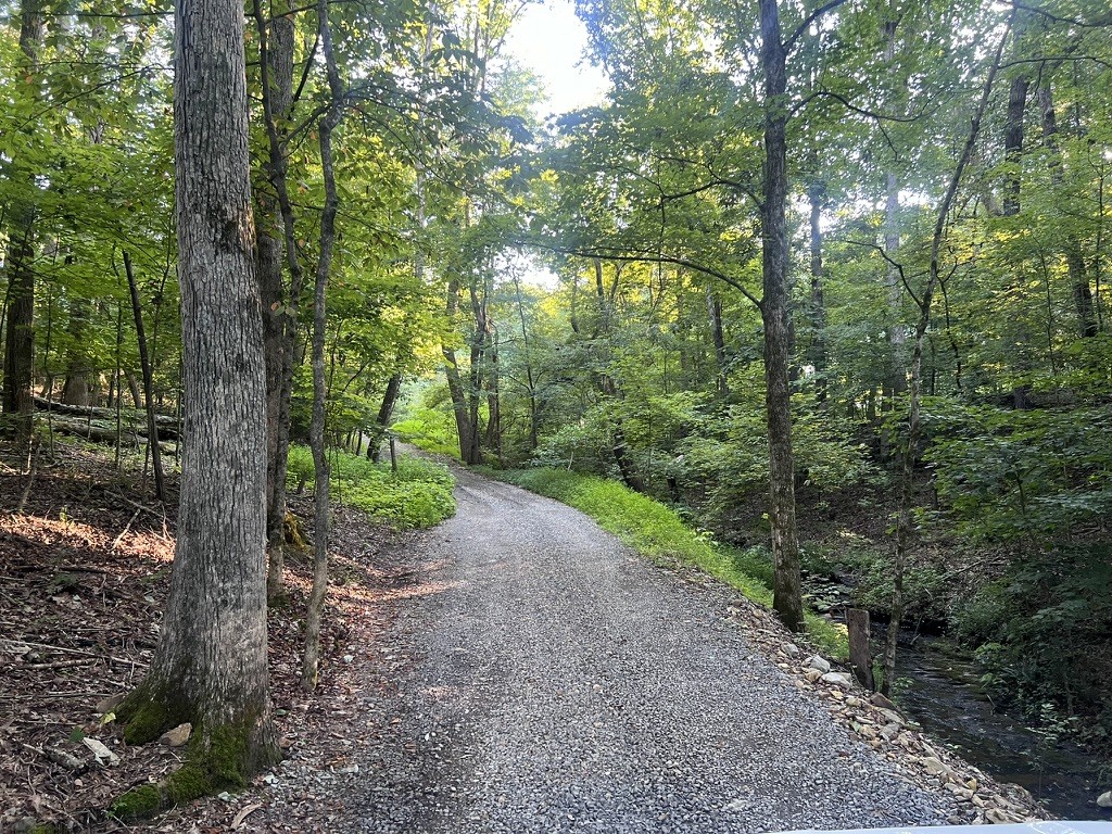 198 Brandy Hollow Ln