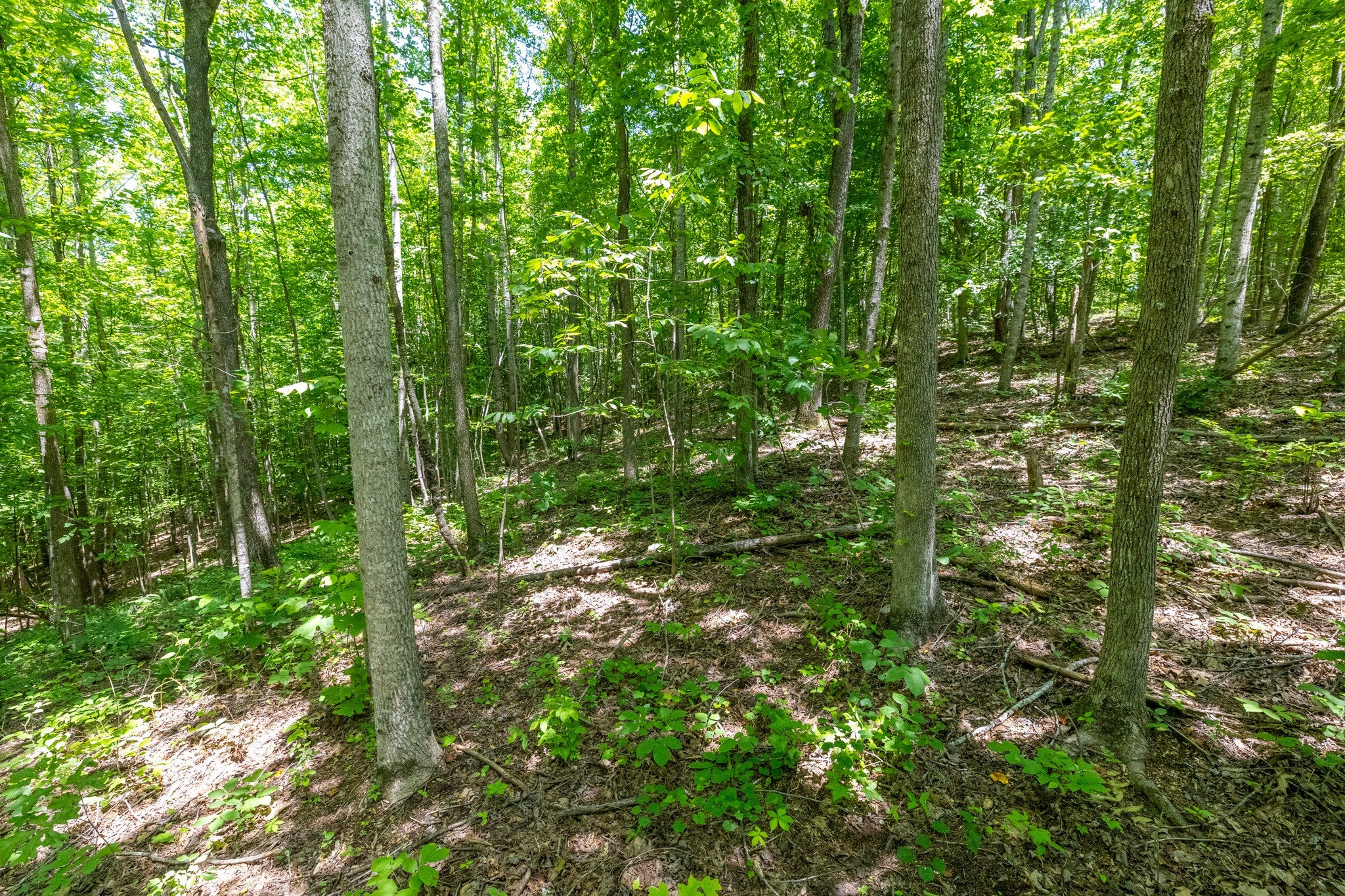 0 White Oak Rd