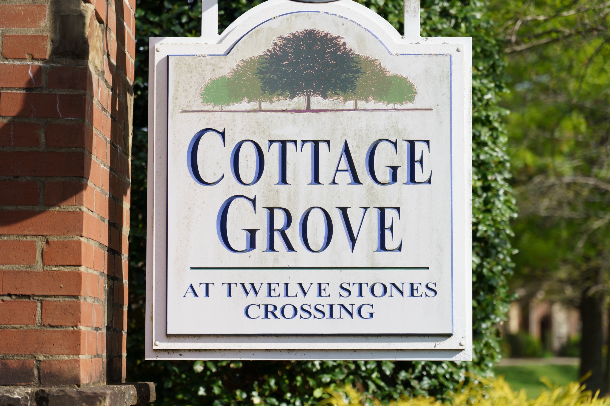 100 Placid Grove Ln 301