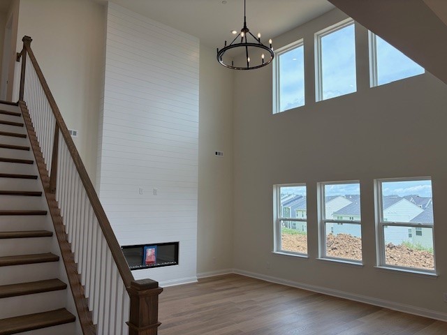 520 Blue Olive Drive