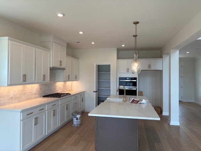 520 Blue Olive Drive