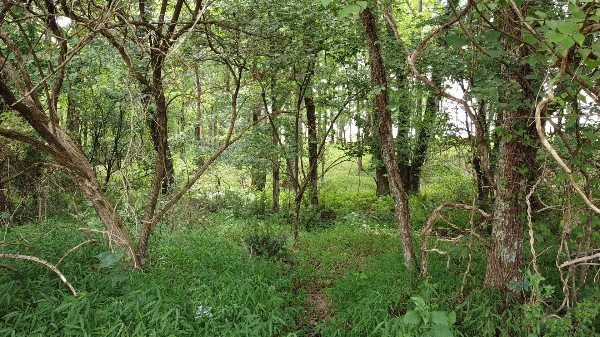 25A Bridle Trail