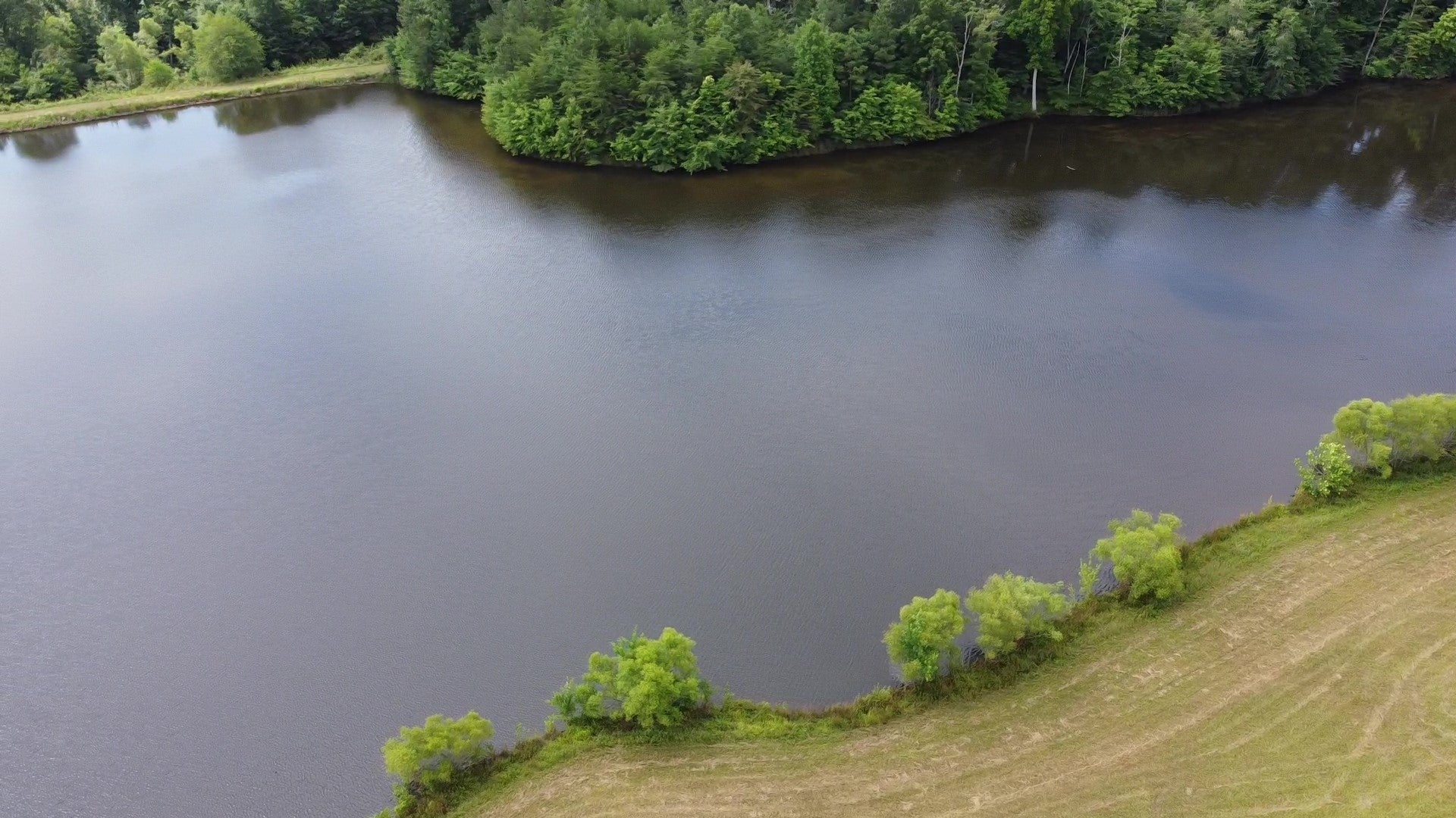 25A Bridle Trail