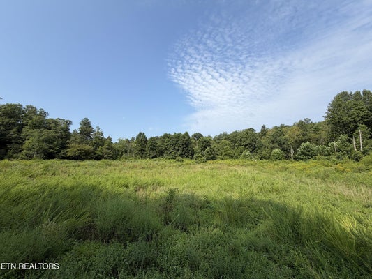 ADDRESS PRIVATE, ROBBINS, TN 37852 - Image fe958c0f62cc730c0f6b6a0d6b86f4e8/100583987