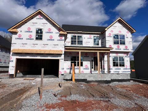 166 Griffey Estates Clarksville TN 37042