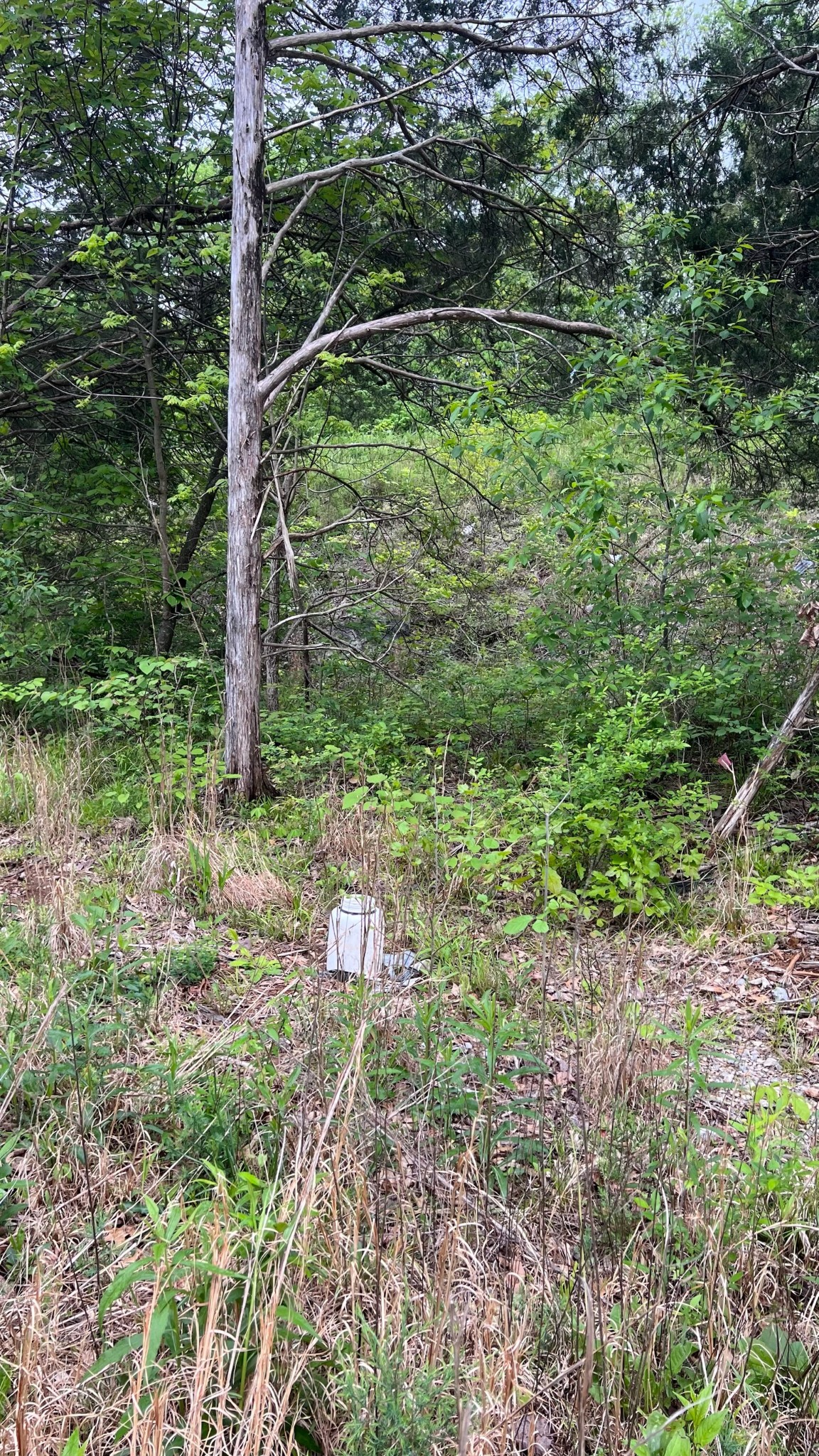 122 Patterson Hill Rd