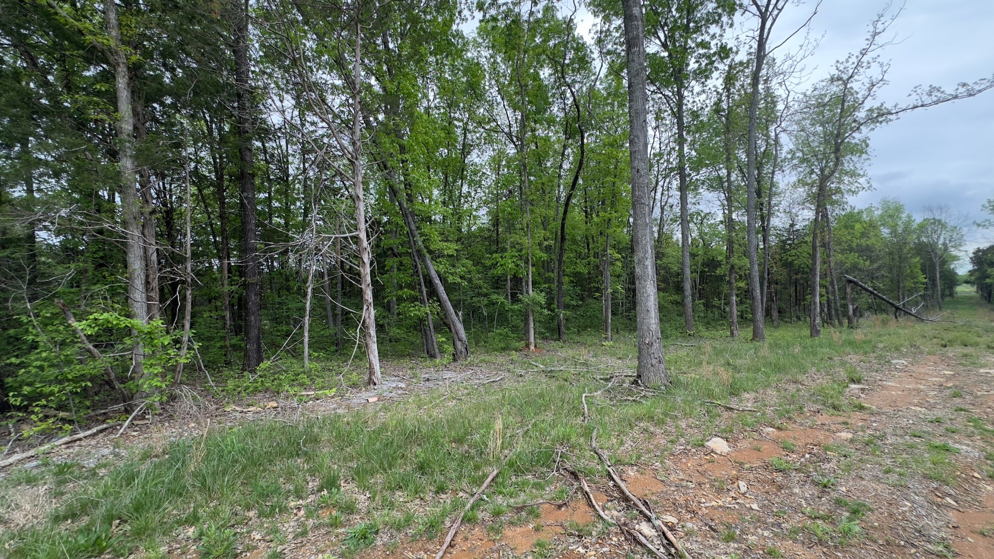 122 Patterson Hill Rd