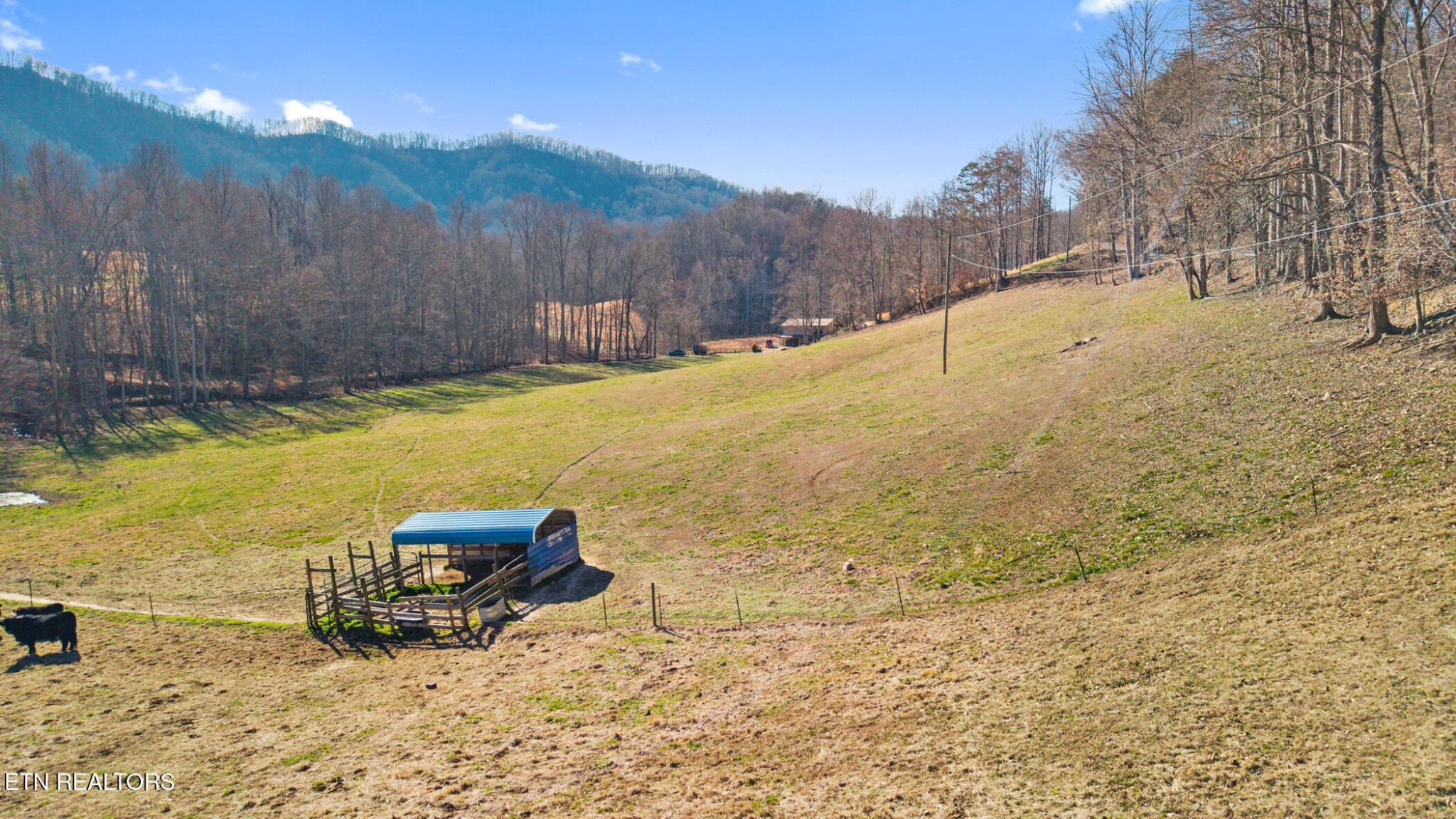 1013 Cloud Creek Rd