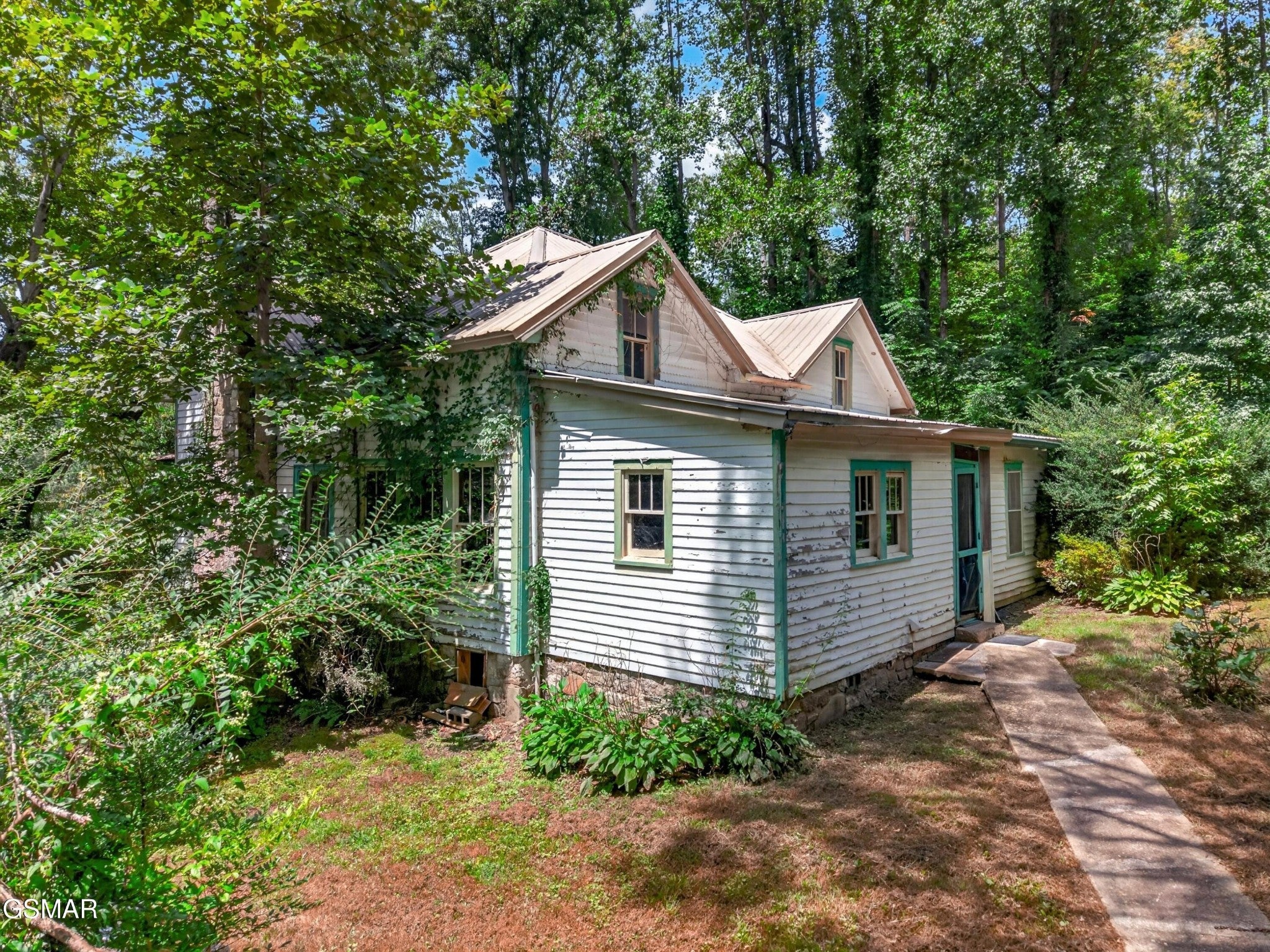 264 Beech Branch Road