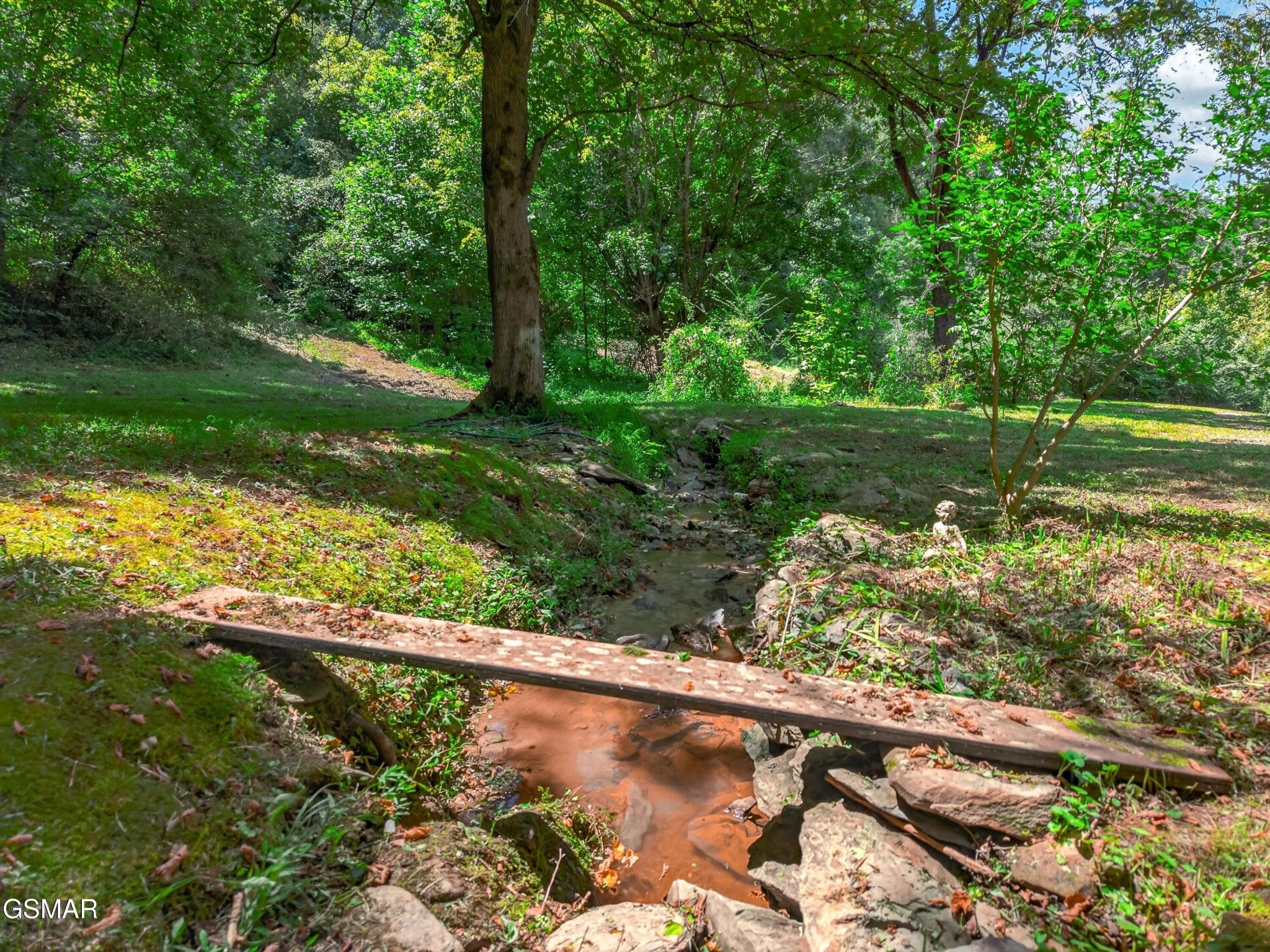 264 Beech Branch Road
