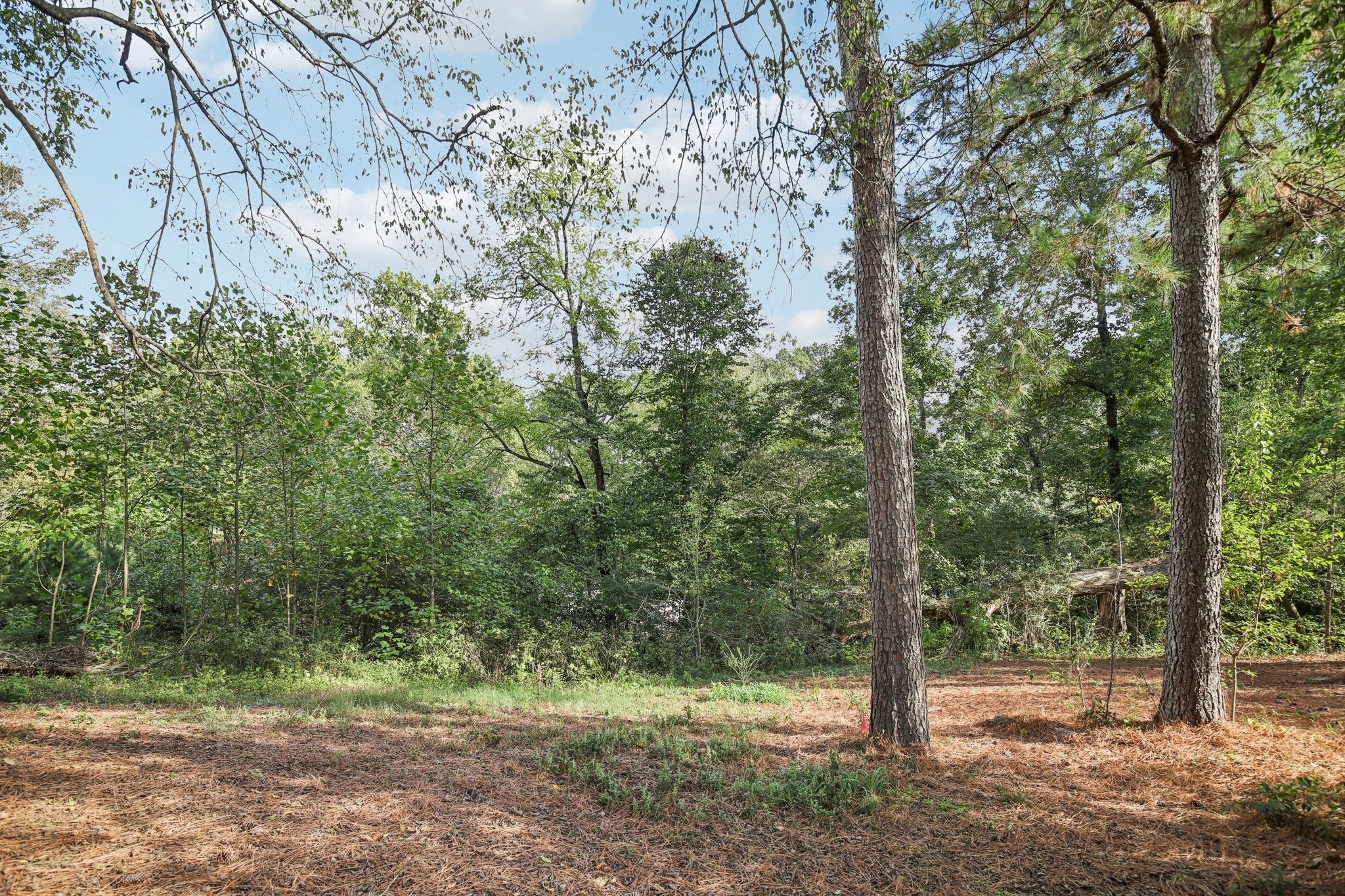 0 Old Clarksville Pike