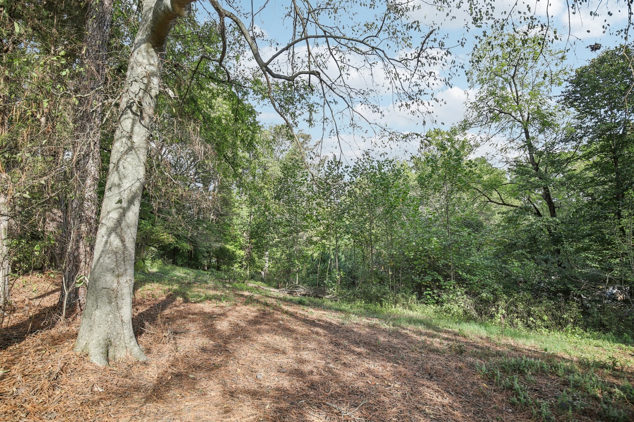 0 Old Clarksville Pike