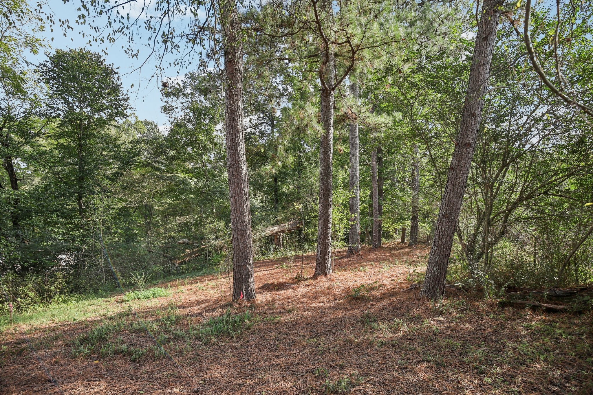 0 Old Clarksville Pike