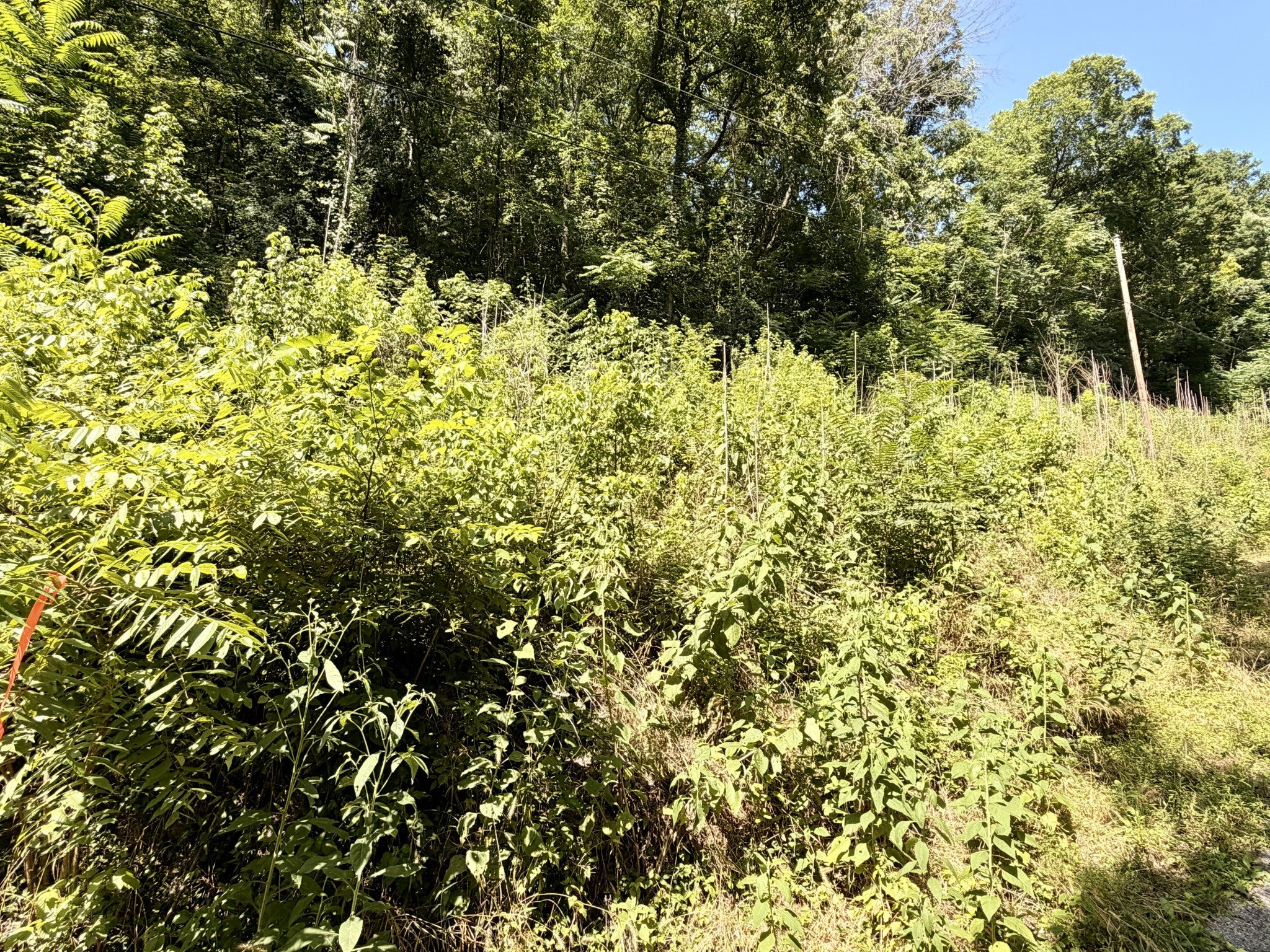 0 Silver Point Rd