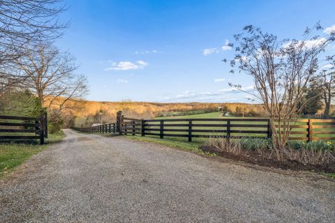 697 Johnson Branch Rd Williamsport TN 38487