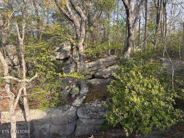 0 Gray Rock View