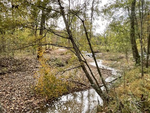 1 Budds Creek Road Palmyra TN 37142