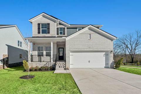 Photo of 3159 Rolling Brook Drive, Columbia, TN 38401 (MLS # 3178359)