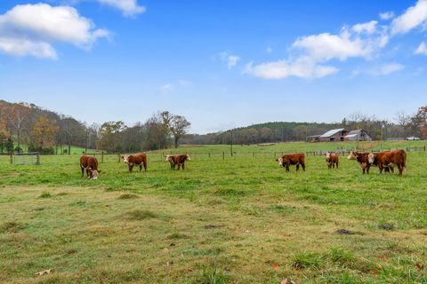 2651 Pretty Creek Road Nunnelly TN 37137