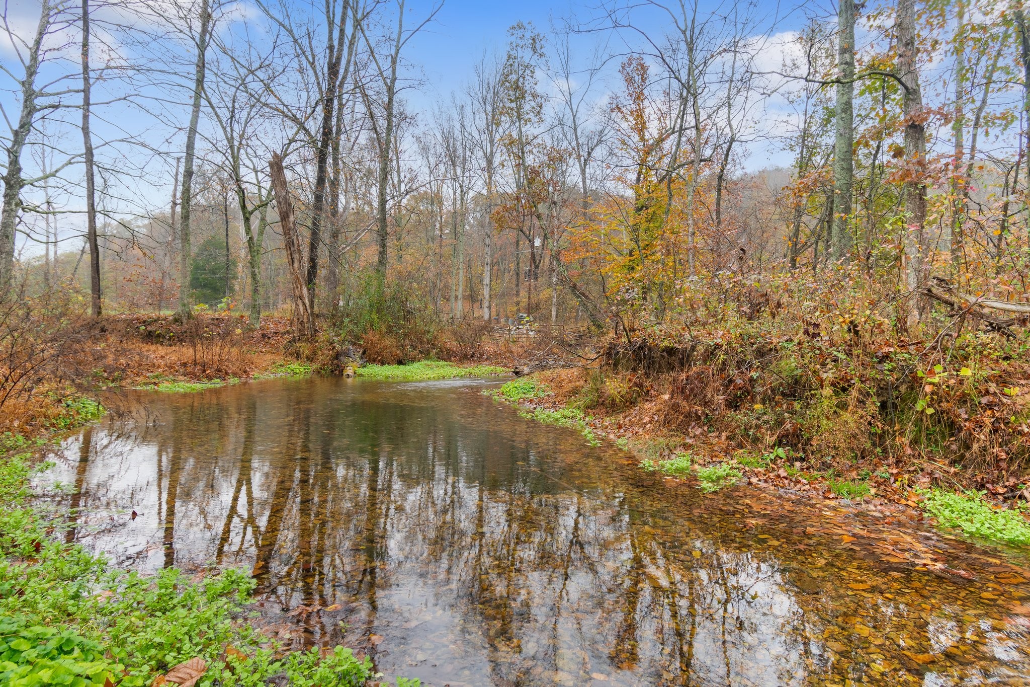 2651 Pretty Creek Road