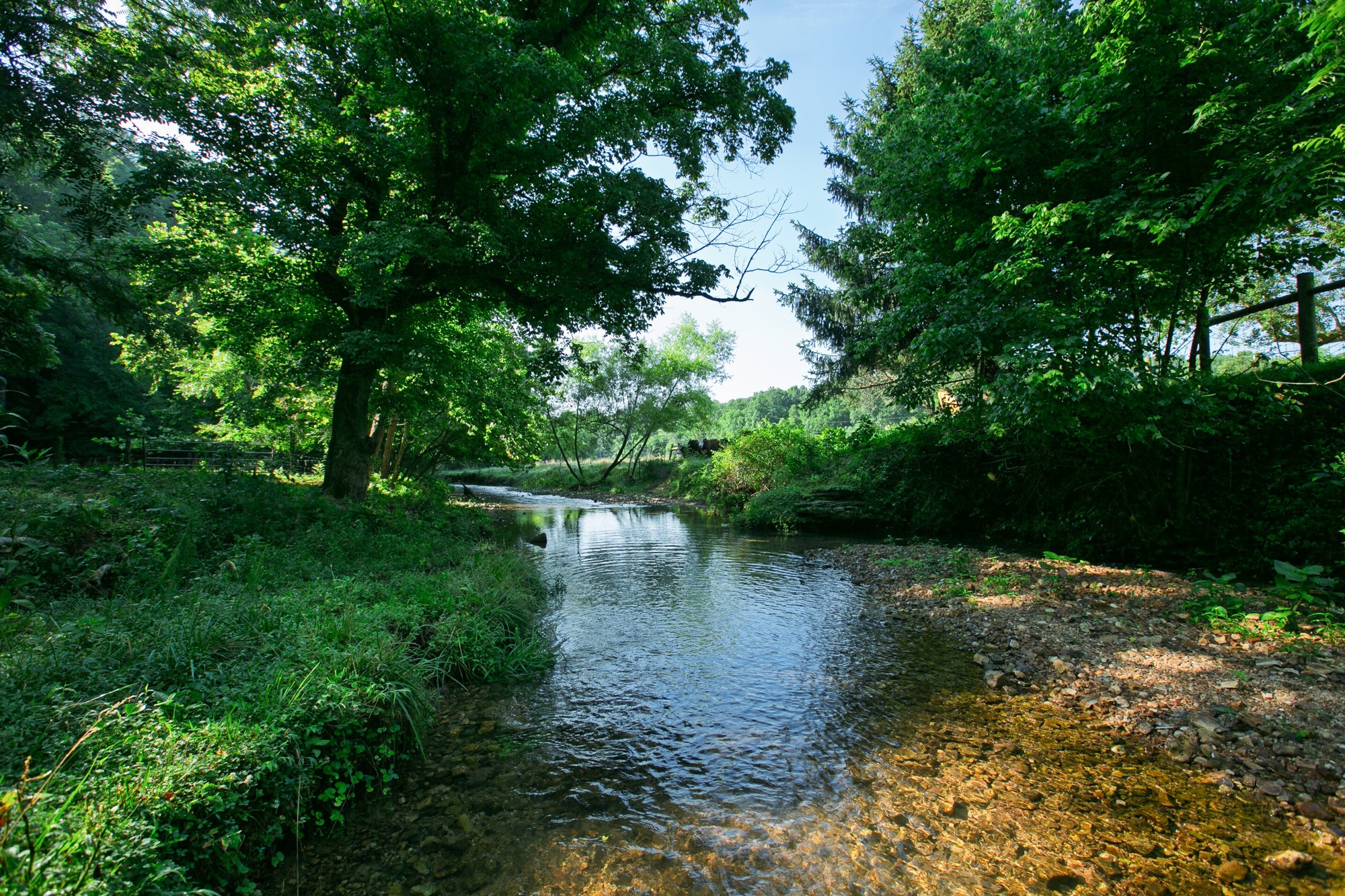 2651 Pretty Creek Road