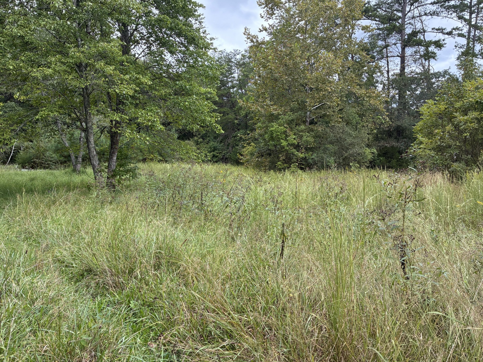 0 County Road 613