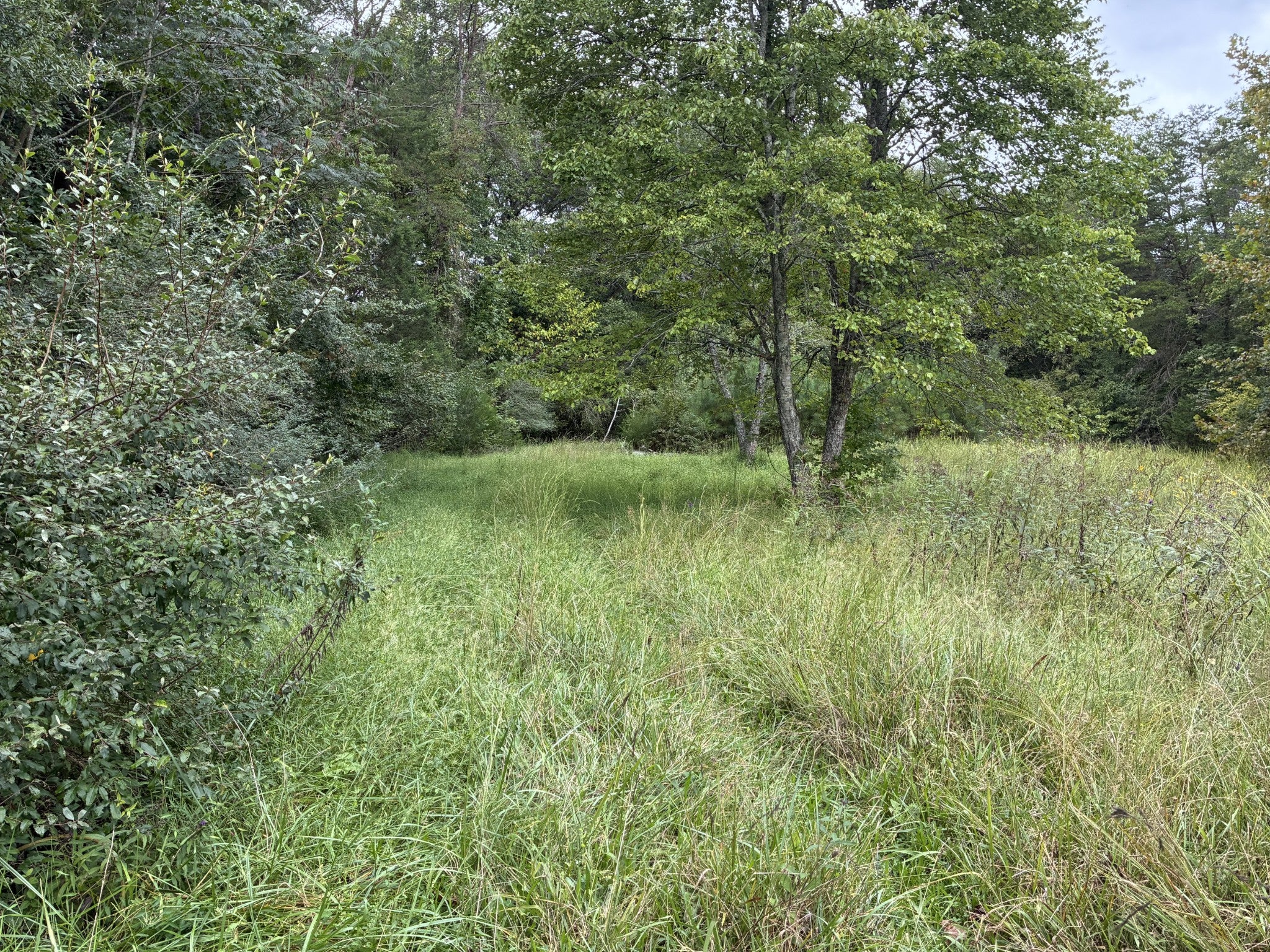 0 County Road 613