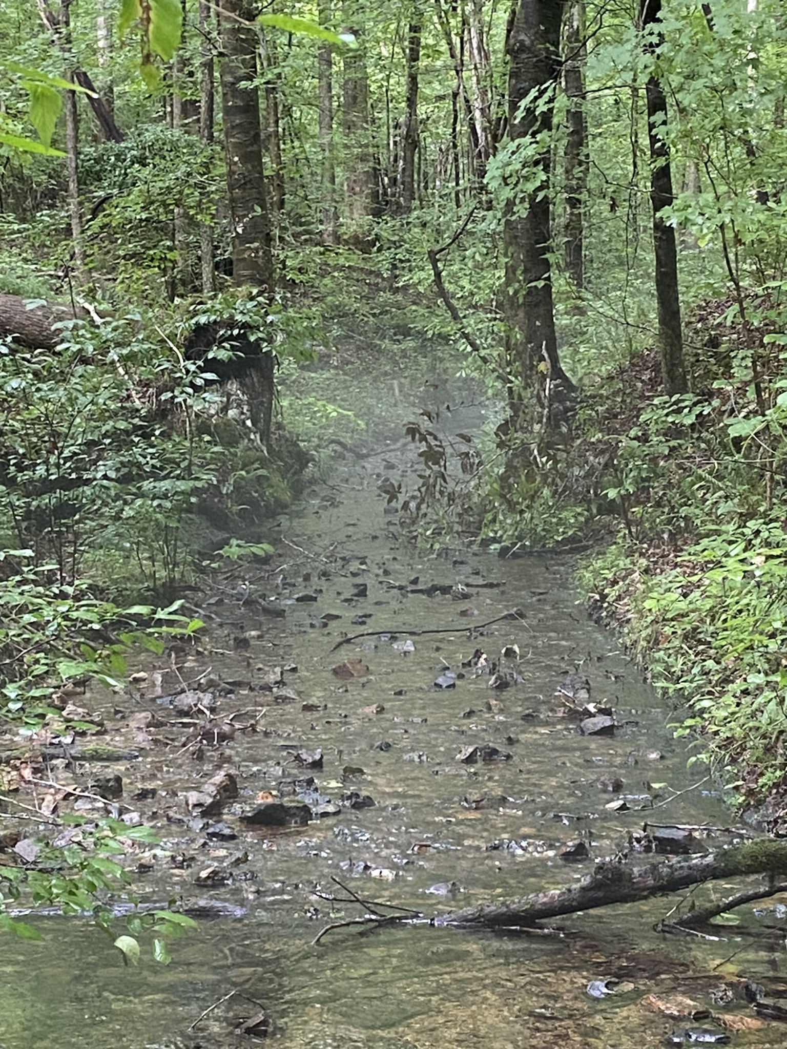 0 Firetower Rd