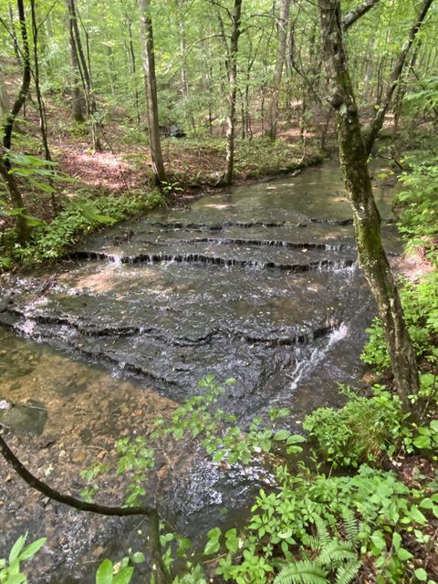 0 Firetower Rd Hohenwald TN 38462