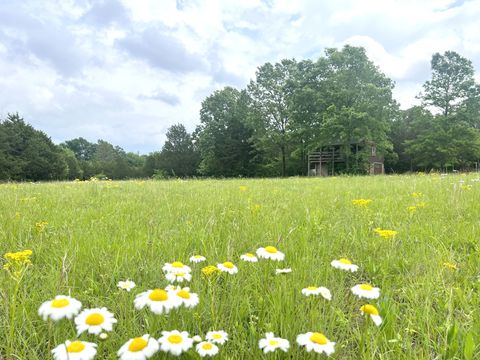 Manus Rd, Murfreesboro, TN 37127 - MLS#: 2816154