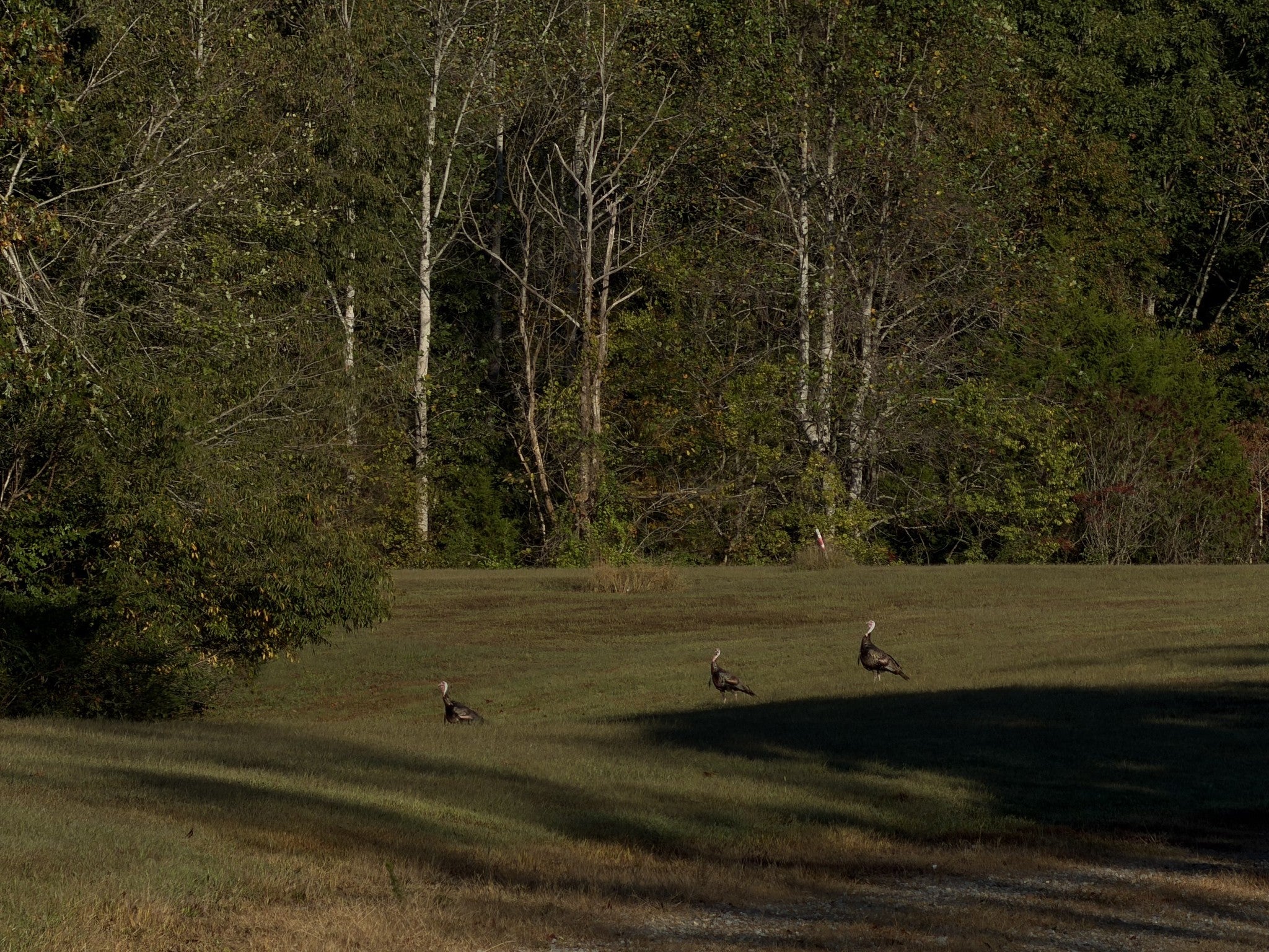 1 Caney Fork Rd