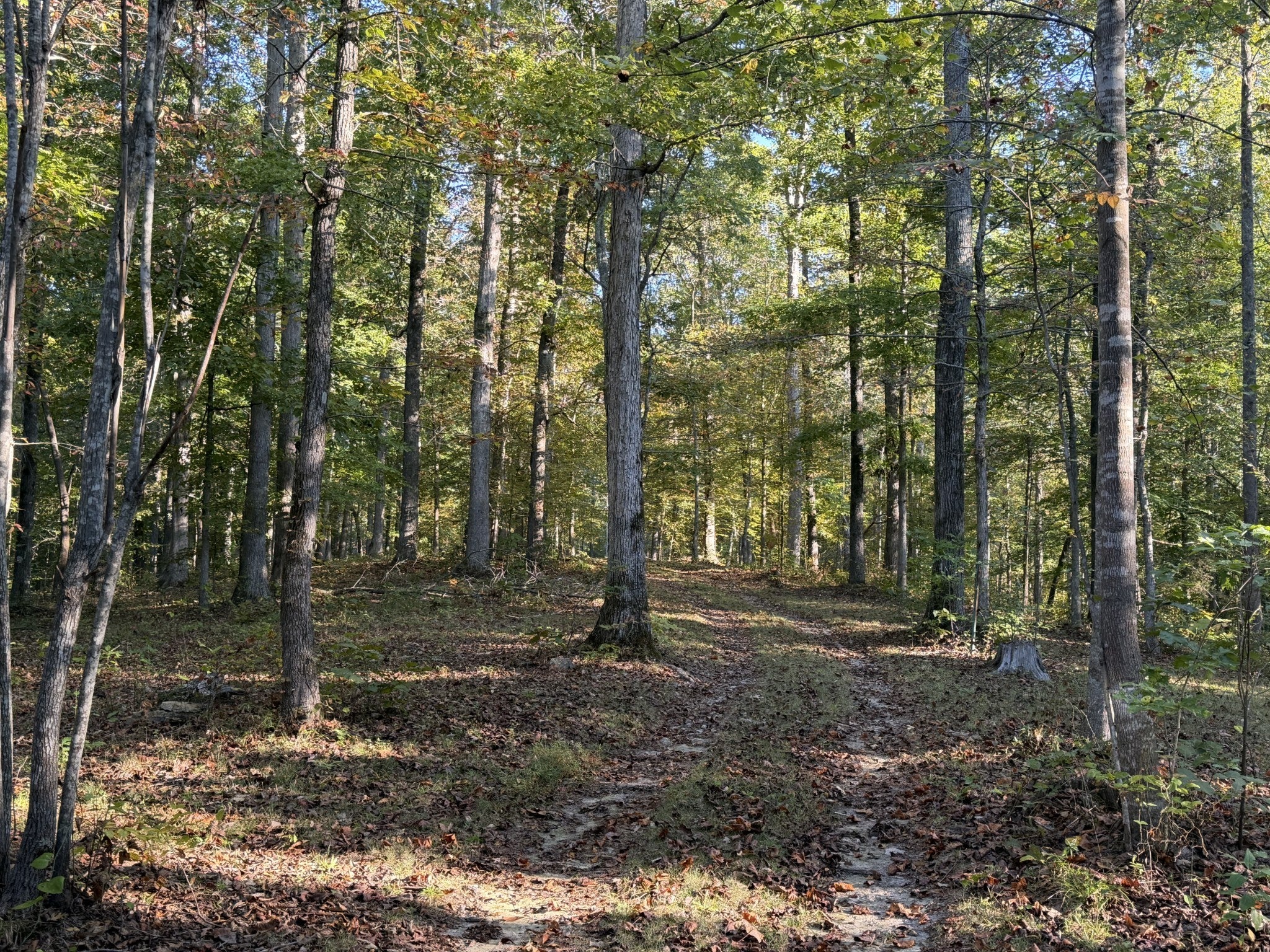 1 Caney Fork Rd