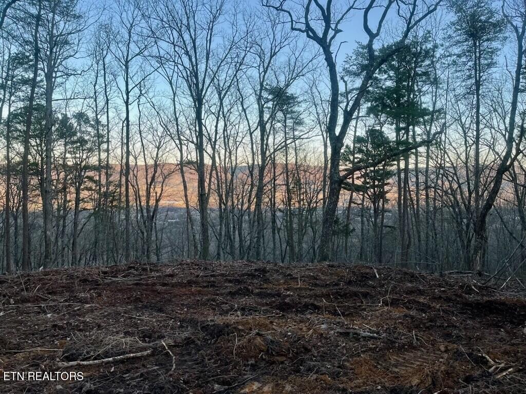 0 Old Spencer Rd. - 172 Acres