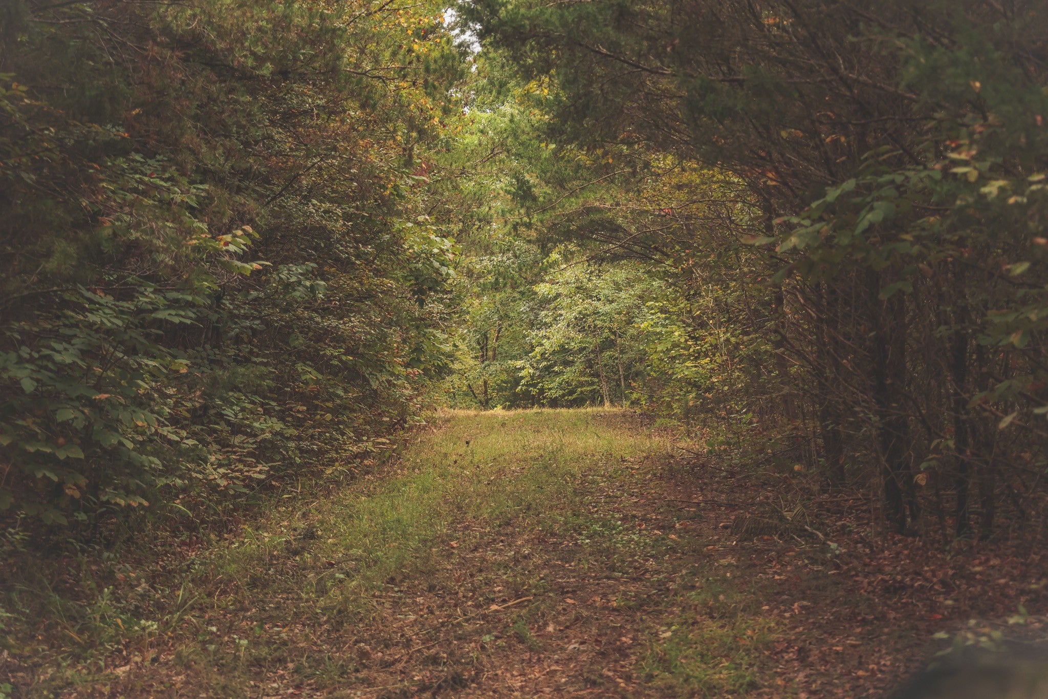 0 Deer Ridge Trail