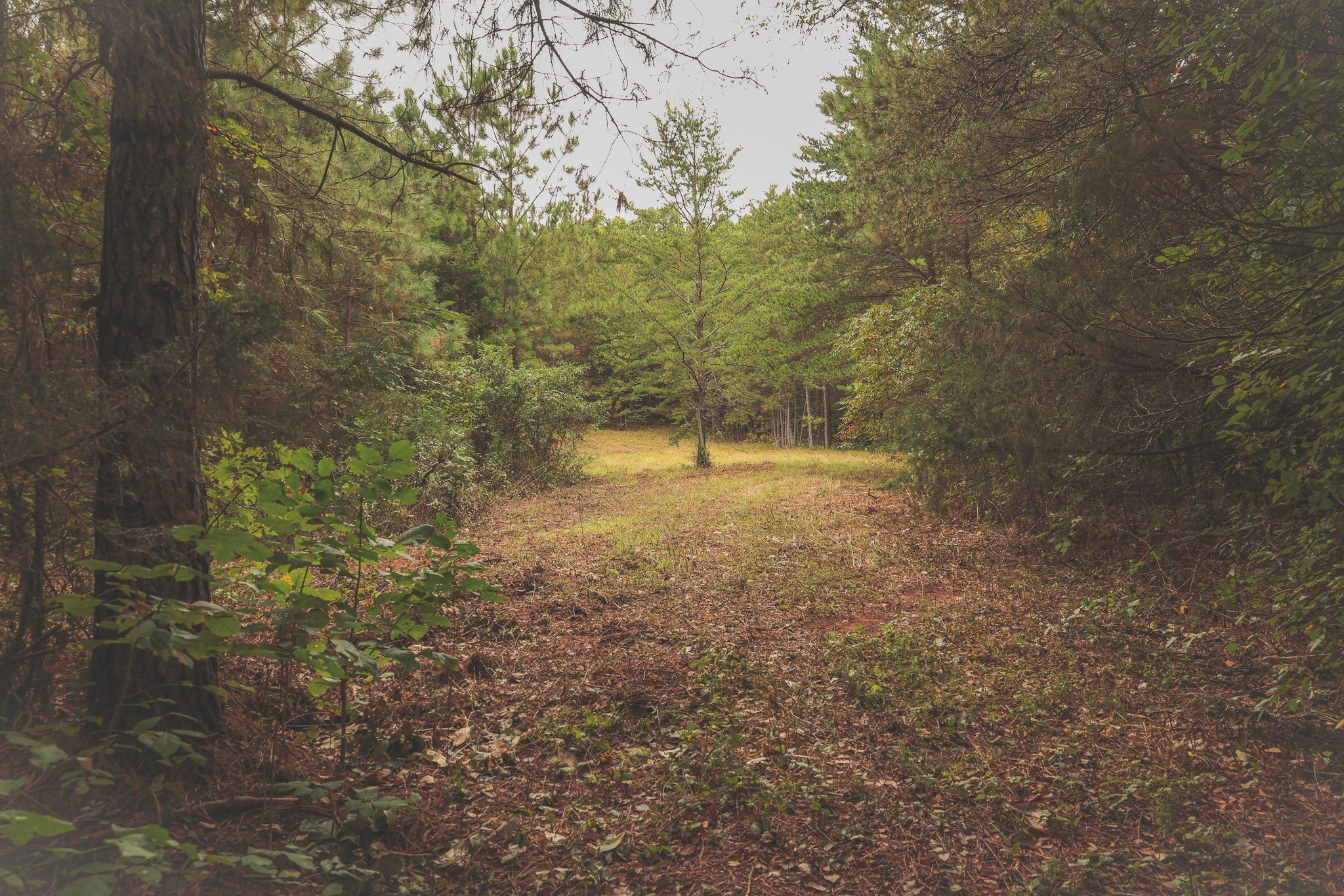 0 Deer Ridge Trail
