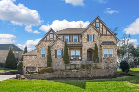 4029 Kings Camp Pass Arrington TN 37014