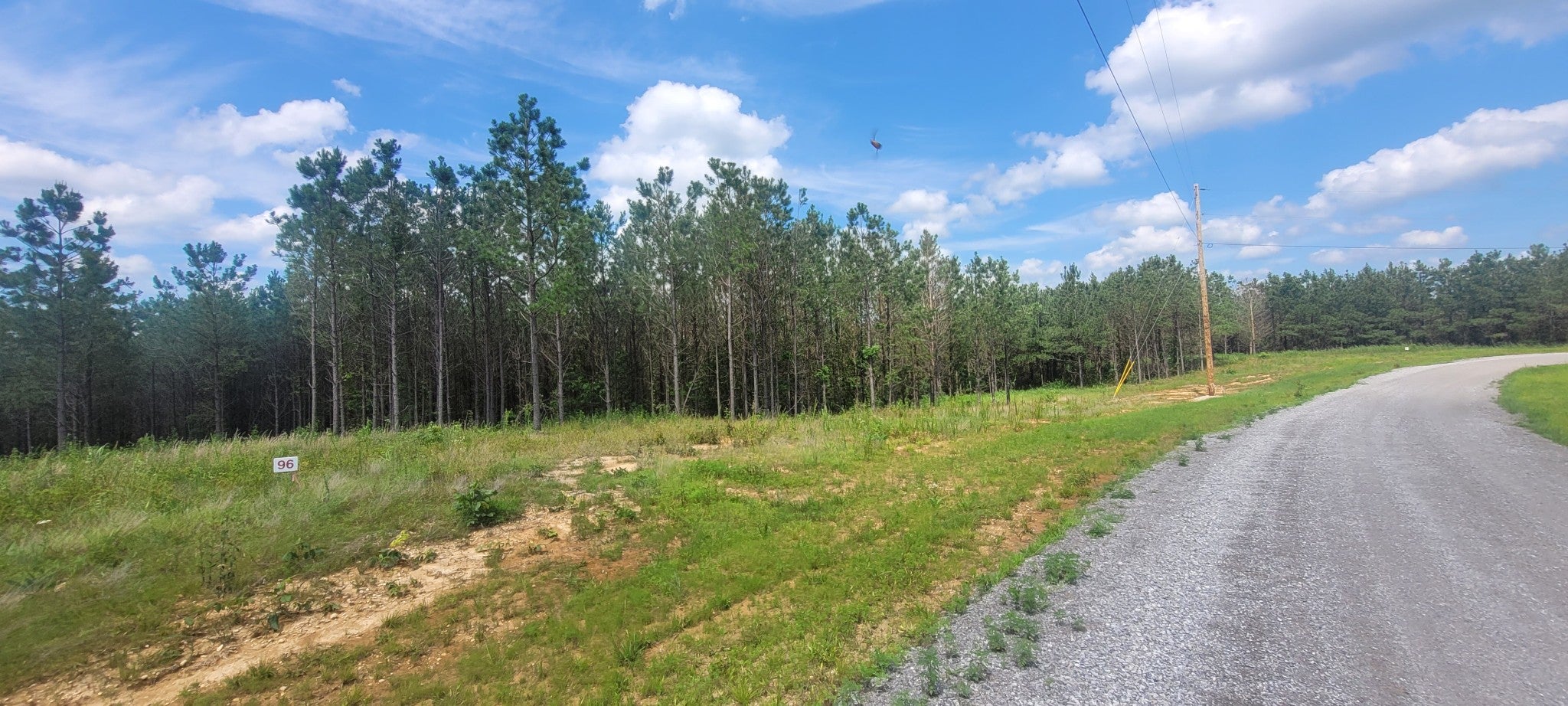 96 Evergreen Dr