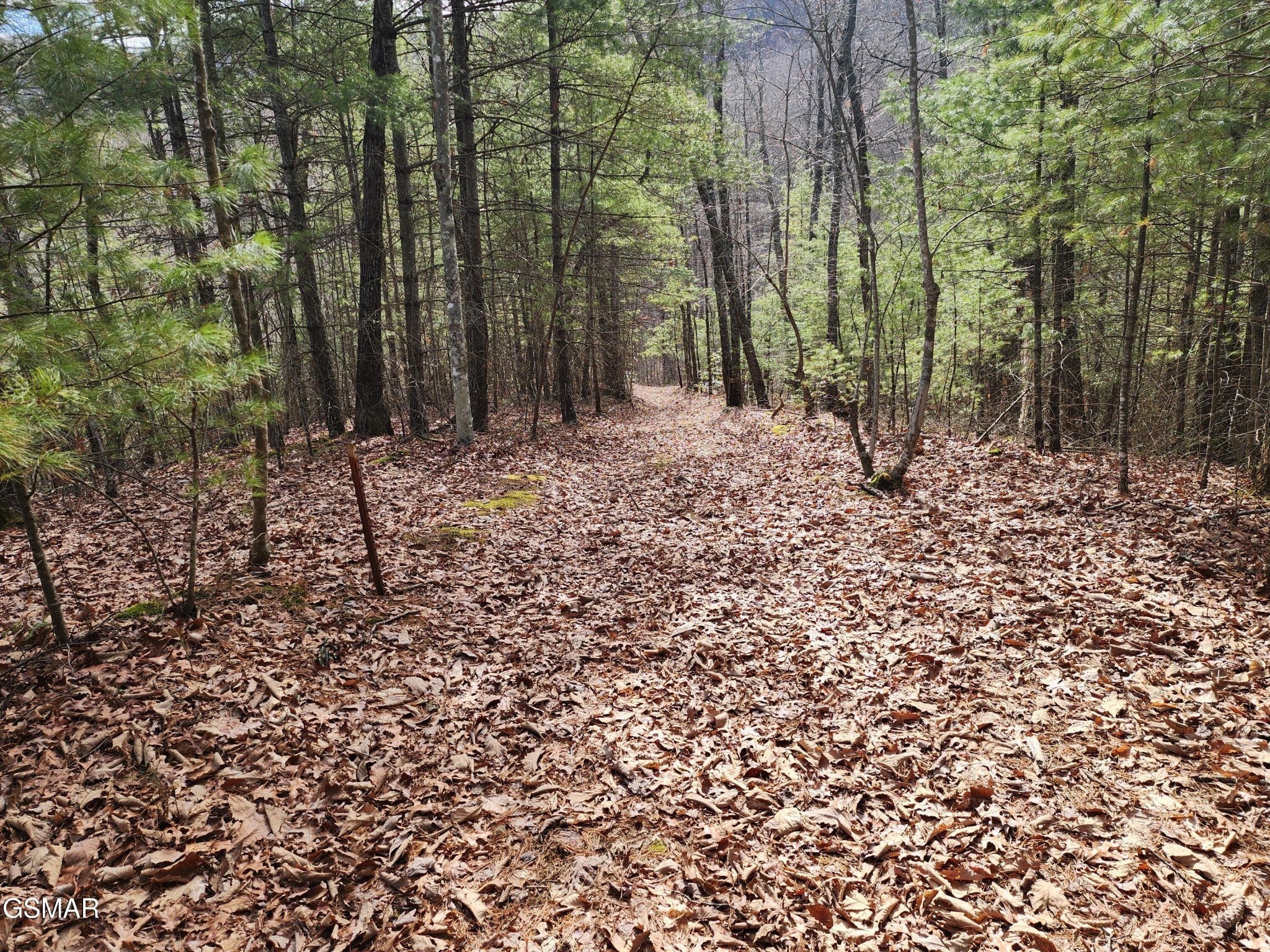 0 Dockery Branch Road