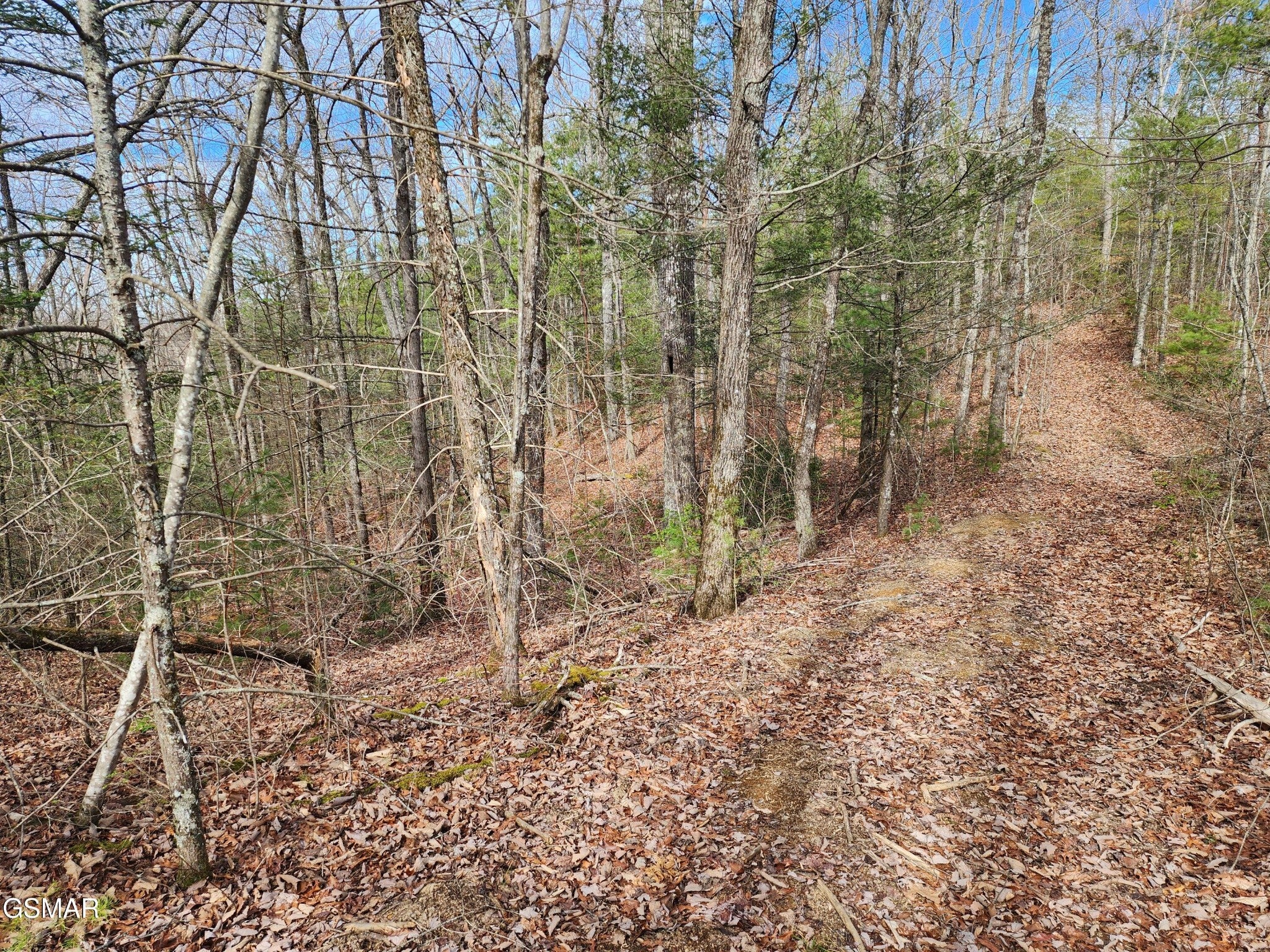 0 Dockery Branch Road