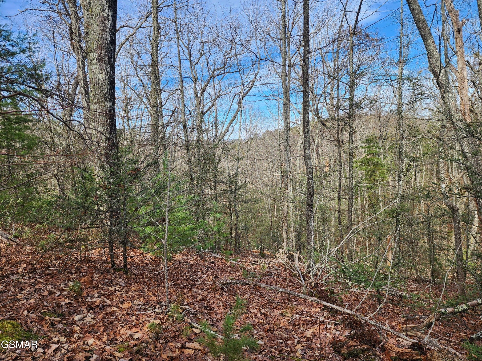 0 Dockery Branch Road