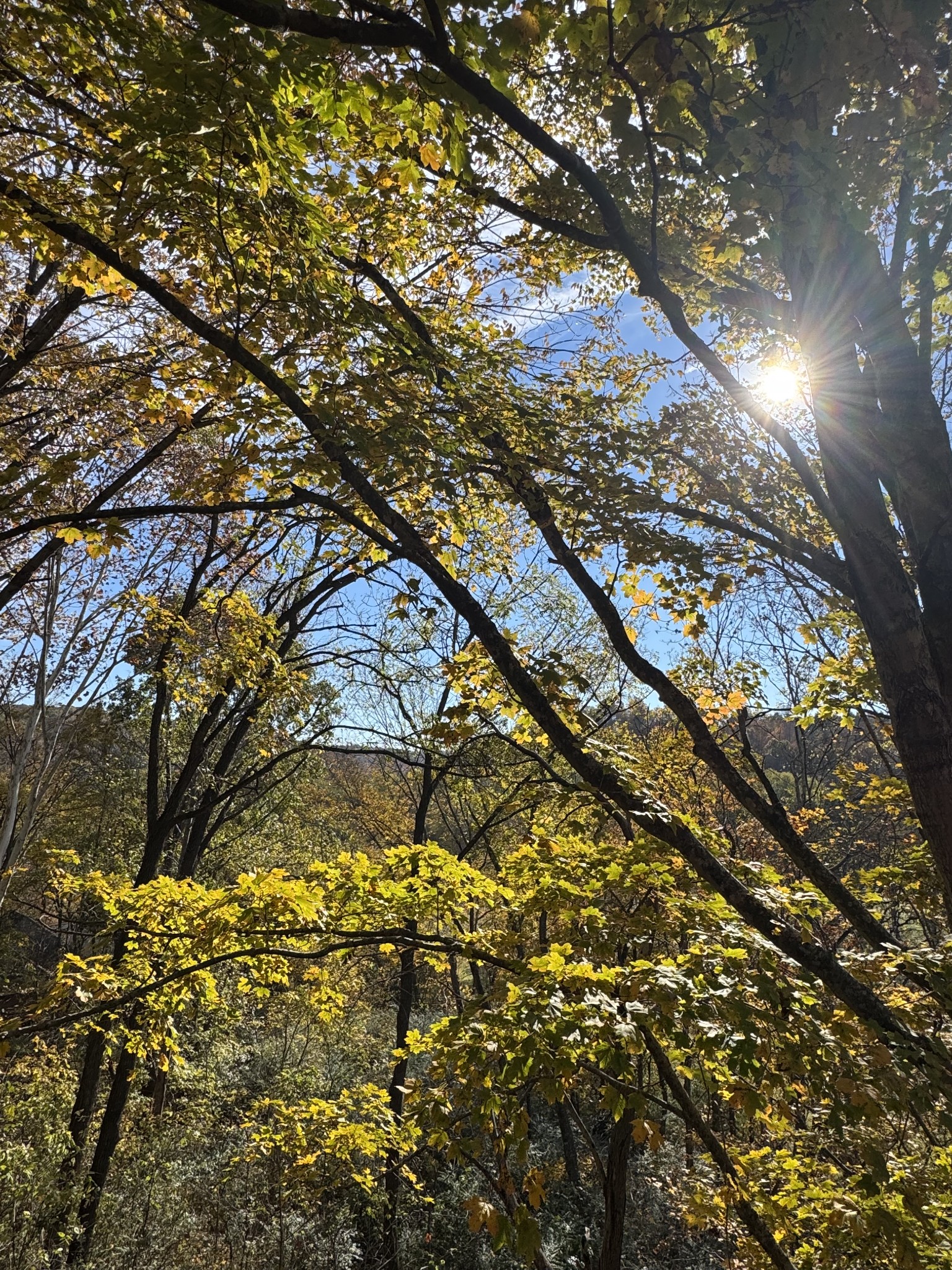 1304 Sycamore Valley Rd